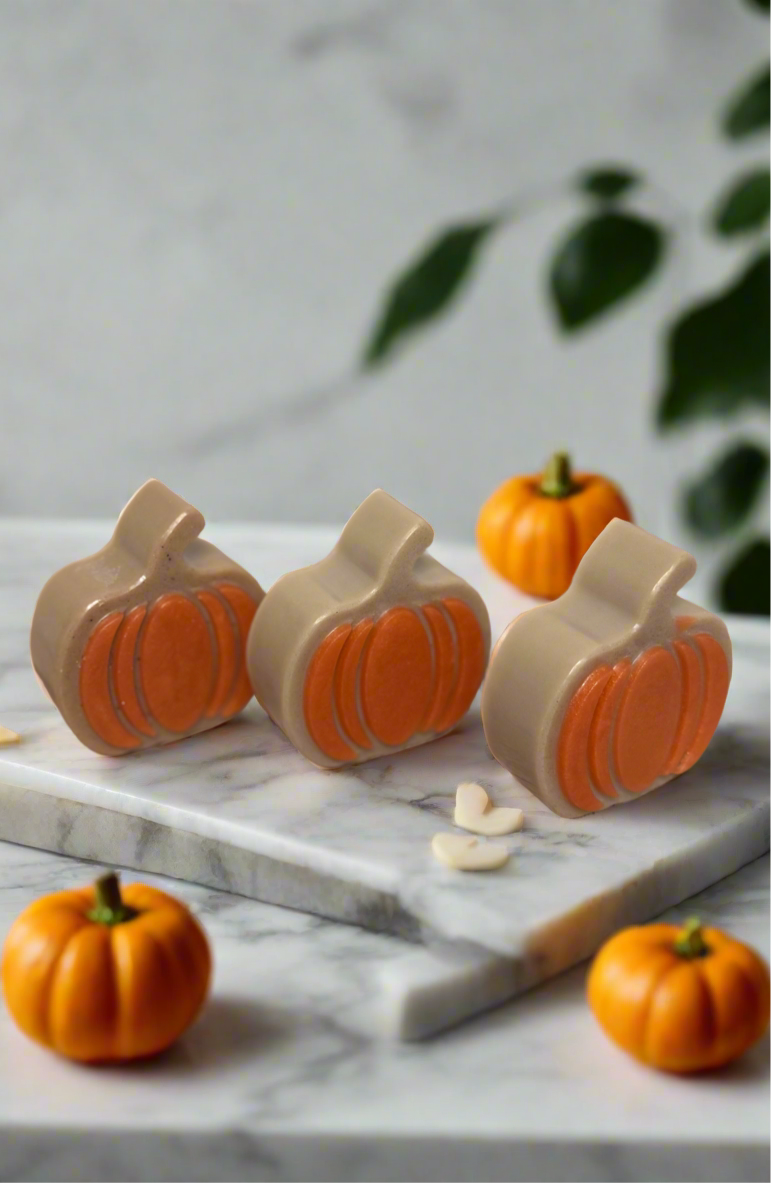 Pumpkin Goat Milk Soaps | Various Scents